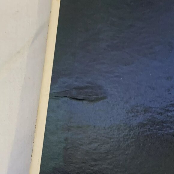 Bonnie Guitar Moonlight And Shadows (Vinyl, 1957) Dot DLP 3069 Good+ LP Record - Picture 4 of 9